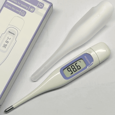 Digital Thermometer 